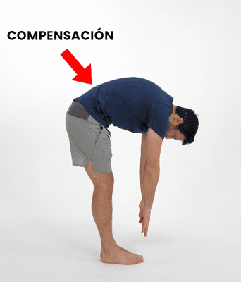 movilidad para las caderas movilidad para las caderas