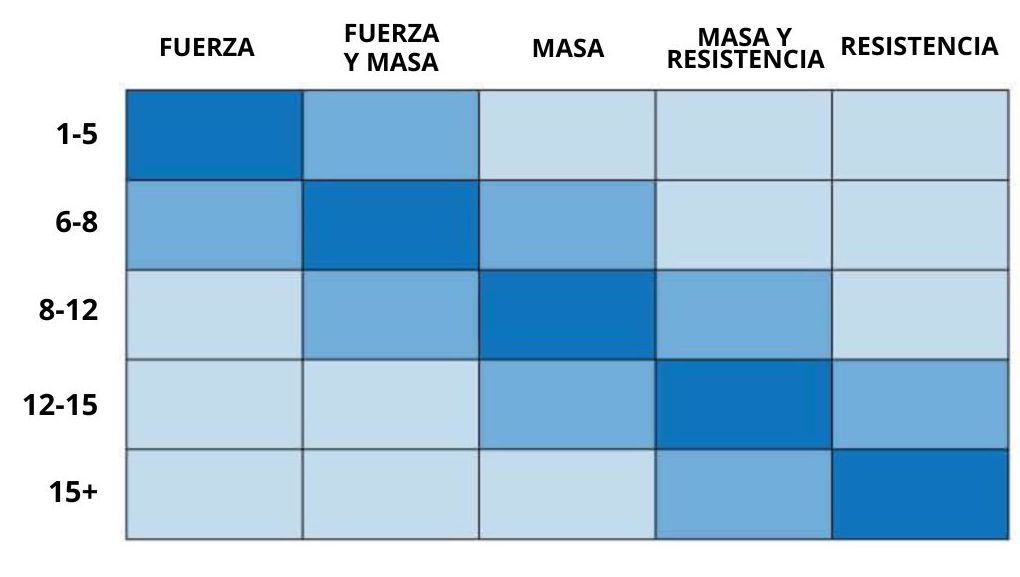 cuantas repeticiones para la fuerza cuantas repeticiones para la fuerza