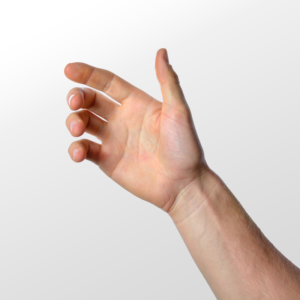 Manos y muñecas Manos y muñecas