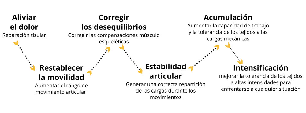 Los principios del Método Funcional Los principios del Método Funcional