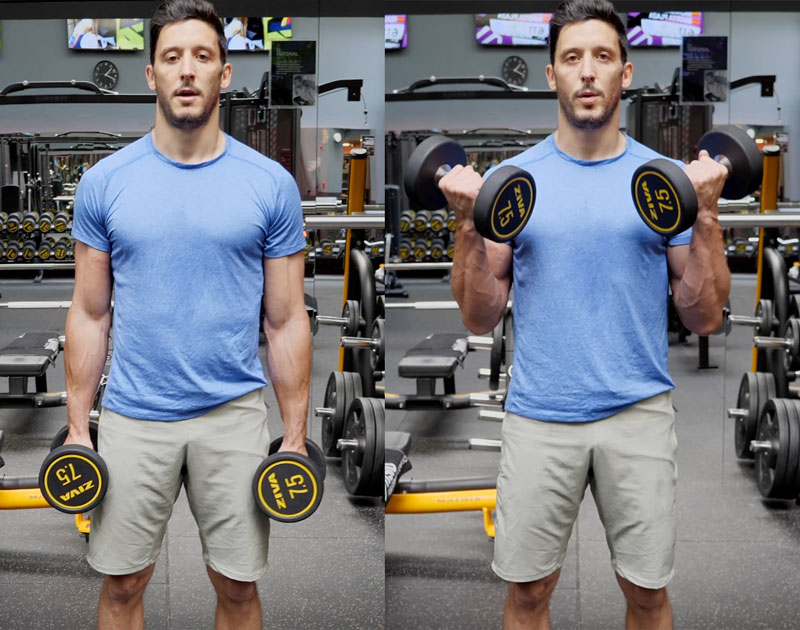 Biceps curl con mancuernas Biceps curl con mancuernas