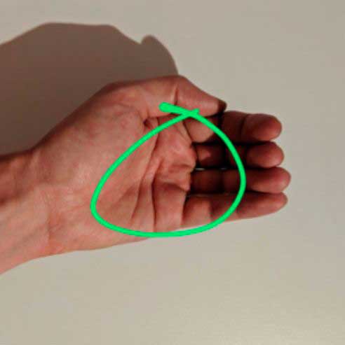 Cómo comer bien Cómo comer bien