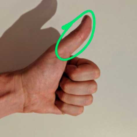 Como medir las grasas Como medir las grasas