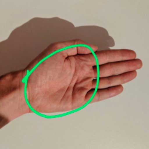 Medir las proteinas Medir las proteinas