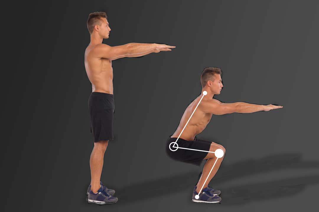 Sentadilla Sentadilla