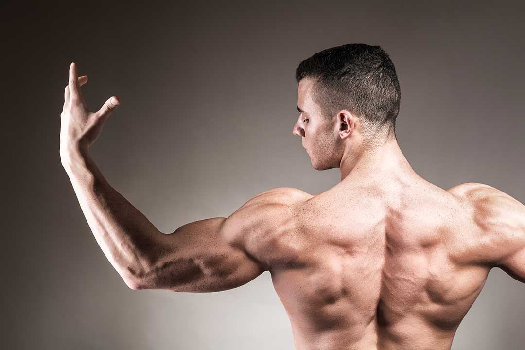 ganar masa muscular ganar masa muscular