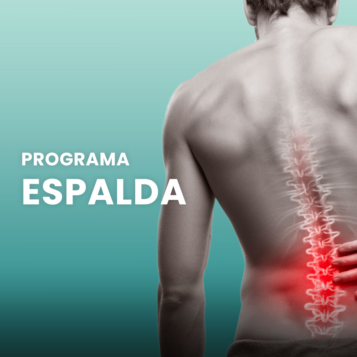 Nuevo Programa Espalda Nuevo Programa Espalda