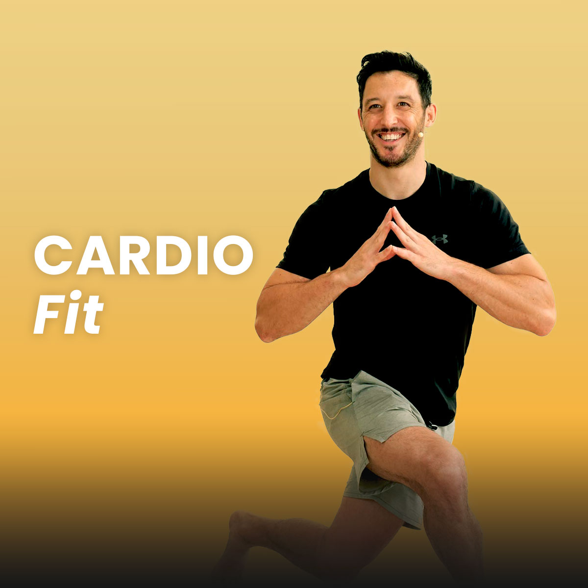 Programas cardio fit Programas cardio fit