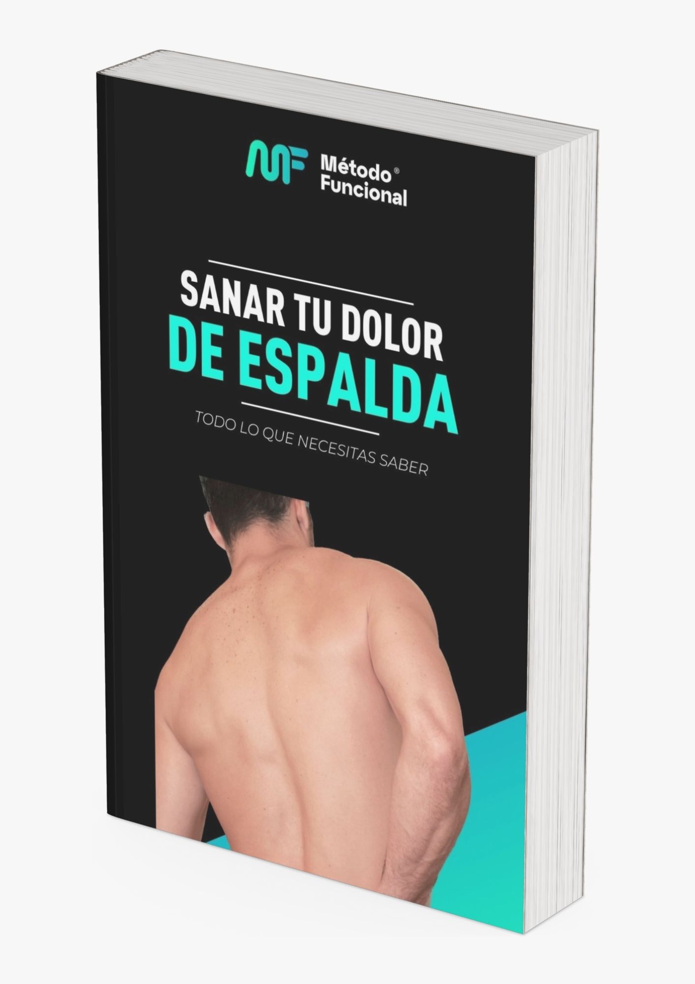 La guía para el dolor de espalda La guía para el dolor de espalda