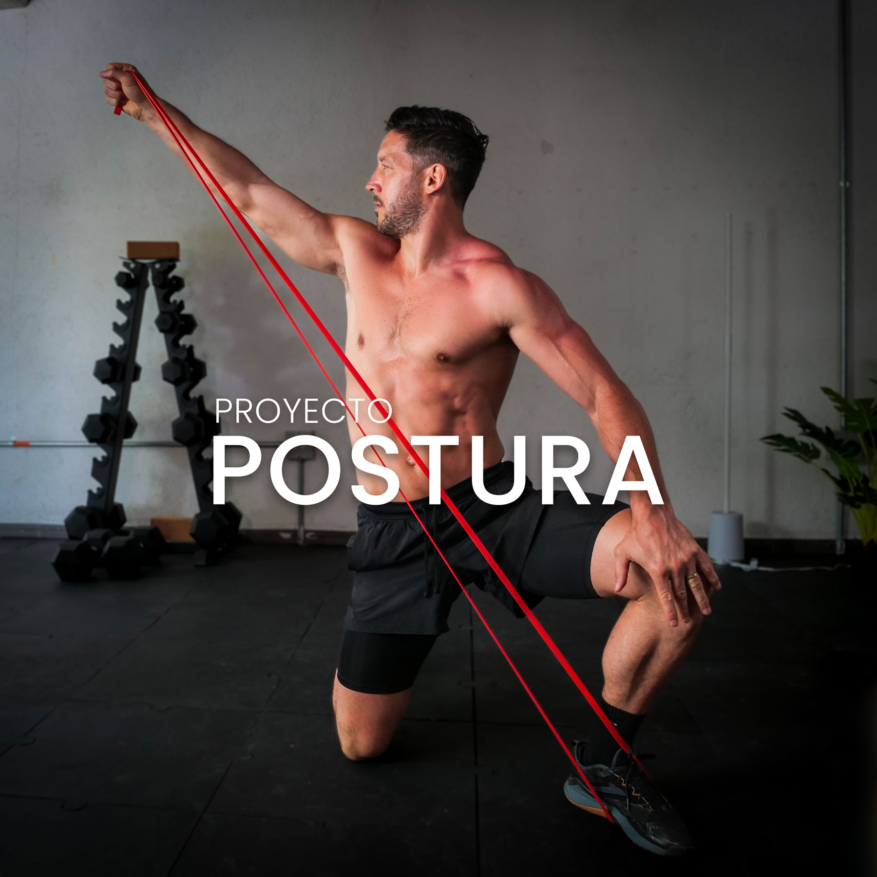 Programa proyecto postura Programa proyecto postura